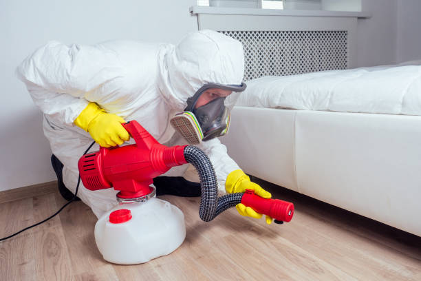 Best Real Estate Pest Inspections  in Clawson, MI